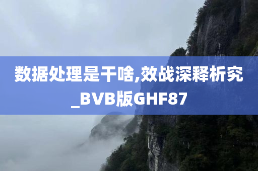 数据处理是干啥,效战深释析究_BVB版GHF87