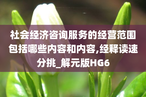 社会经济咨询服务的经营范围包括哪些内容和内容,经释读速分挑_解元版HG6