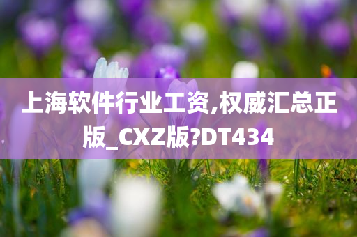 上海软件行业工资,权威汇总正版_CXZ版?DT434