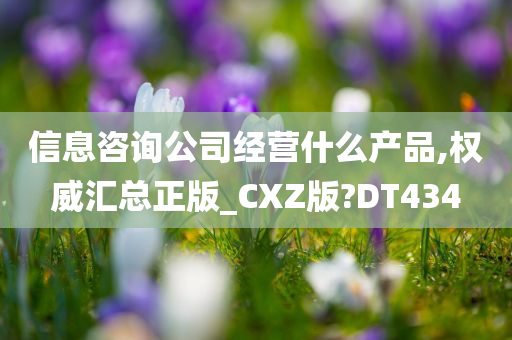 信息咨询公司经营什么产品,权威汇总正版_CXZ版?DT434