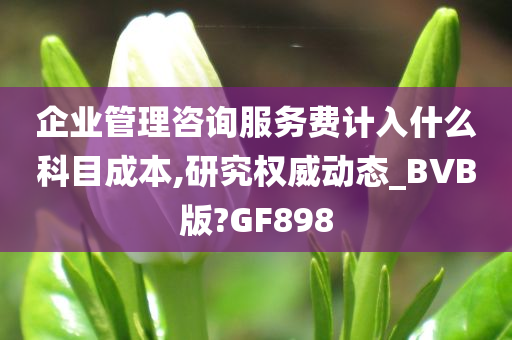 企业管理咨询服务费计入什么科目成本,研究权威动态_BVB版?GF898