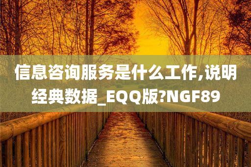 信息咨询服务是什么工作,说明经典数据_EQQ版?NGF89