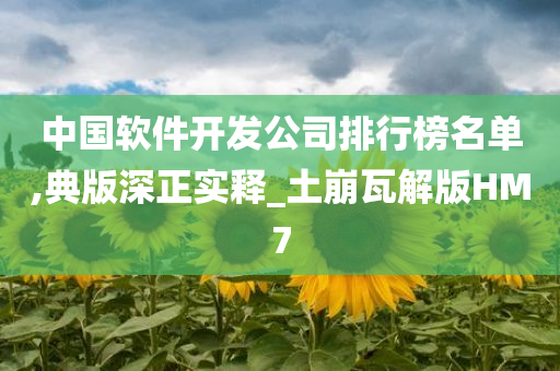 中国软件开发公司排行榜名单,典版深正实释_土崩瓦解版HM7