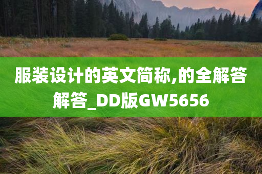 服装设计的英文简称,的全解答解答_DD版GW5656