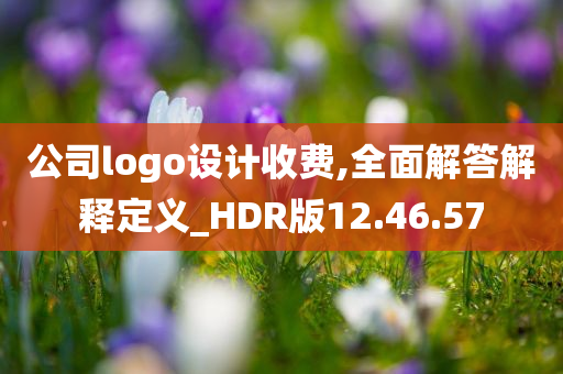 公司logo设计收费,全面解答解释定义_HDR版12.46.57