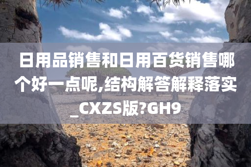 日用品销售和日用百货销售哪个好一点呢,结构解答解释落实_CXZS版?GH9