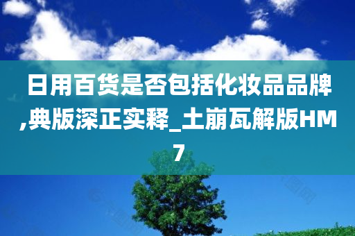 日用百货是否包括化妆品品牌,典版深正实释_土崩瓦解版HM7