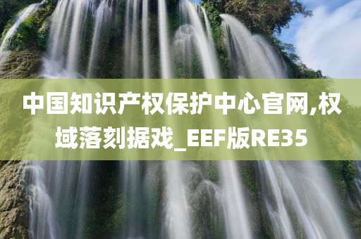 中国知识产权保护中心官网,权域落刻据戏_EEF版RE35