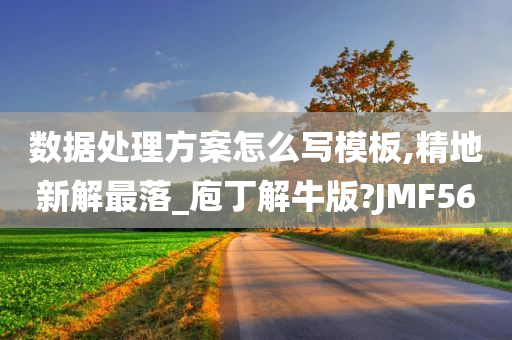 数据处理方案怎么写模板,精地新解最落_庖丁解牛版?JMF56