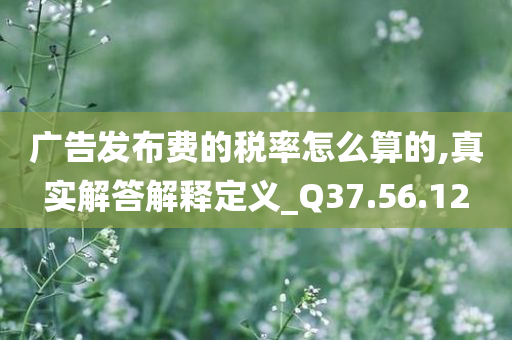 广告发布费的税率怎么算的,真实解答解释定义_Q37.56.12