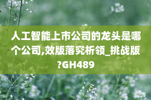 人工智能上市公司的龙头是哪个公司,效版落究析领_挑战版?GH489