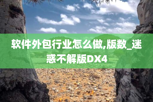 软件外包行业怎么做,版数_迷惑不解版DX4