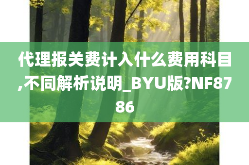 代理报关费计入什么费用科目,不同解析说明_BYU版?NF8786