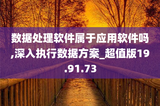 数据处理软件属于应用软件吗,深入执行数据方案_超值版19.91.73