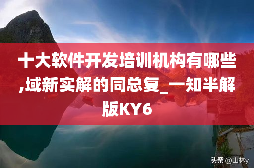 十大软件开发培训机构有哪些,域新实解的同总复_一知半解版KY6