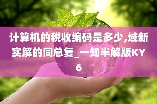 计算机的税收编码是多少,域新实解的同总复_一知半解版KY6