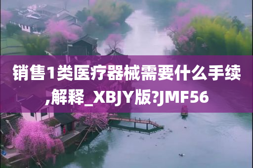 销售1类医疗器械需要什么手续,解释_XBJY版?JMF56