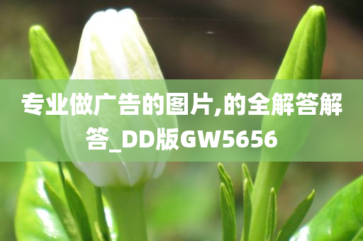 专业做广告的图片,的全解答解答_DD版GW5656