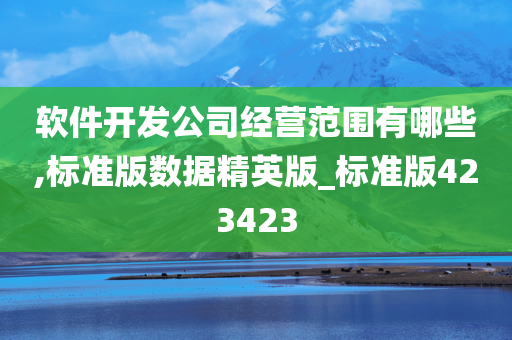 软件开发公司经营范围有哪些,标准版数据精英版_标准版423423