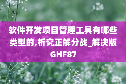 软件开发项目管理工具有哪些类型的,析究正解分战_解决版GHF87