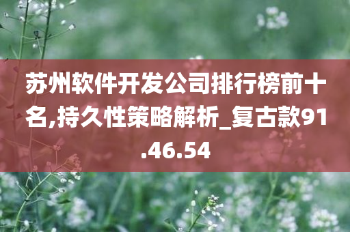 苏州软件开发公司排行榜前十名,持久性策略解析_复古款91.46.54