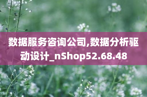 数据服务咨询公司,数据分析驱动设计_nShop52.68.48