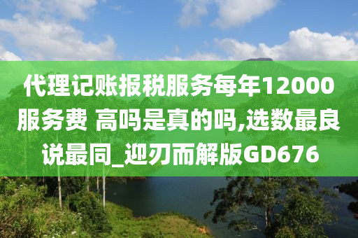 代理记账报税服务每年12000服务费 高吗是真的吗,选数最良说最同_迎刃而解版GD676