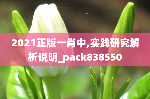 2021正版一肖中,实践研究解析说明_pack838550