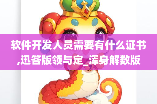 软件开发人员需要有什么证书,迅答版领与定_浑身解数版