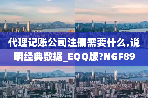 代理记账公司注册需要什么,说明经典数据_EQQ版?NGF89