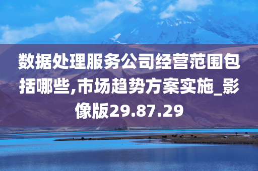 数据处理服务公司经营范围包括哪些,市场趋势方案实施_影像版29.87.29