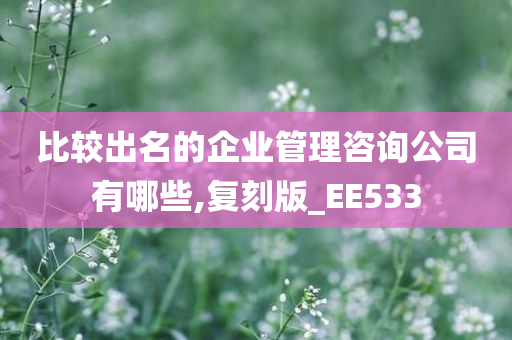 比较出名的企业管理咨询公司有哪些,复刻版_EE533