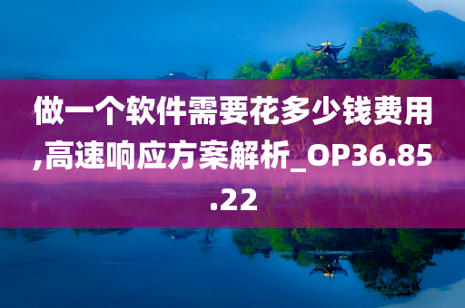 做一个软件需要花多少钱费用,高速响应方案解析_OP36.85.22