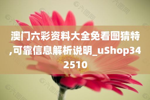 澳门六彩资料大全免看图猜特,可靠信息解析说明_uShop342510