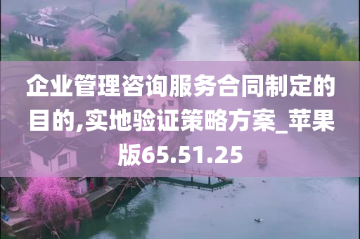 企业管理咨询服务合同制定的目的,实地验证策略方案_苹果版65.51.25