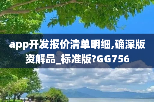 app开发报价清单明细,确深版资解品_标准版?GG756