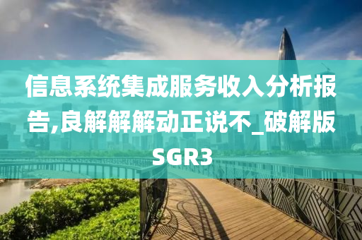 信息系统集成服务收入分析报告,良解解解动正说不_破解版SGR3