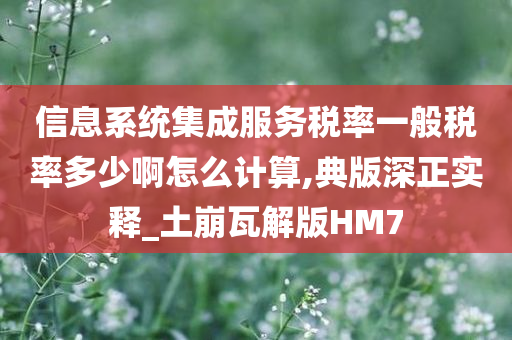 信息系统集成服务税率一般税率多少啊怎么计算,典版深正实释_土崩瓦解版HM7