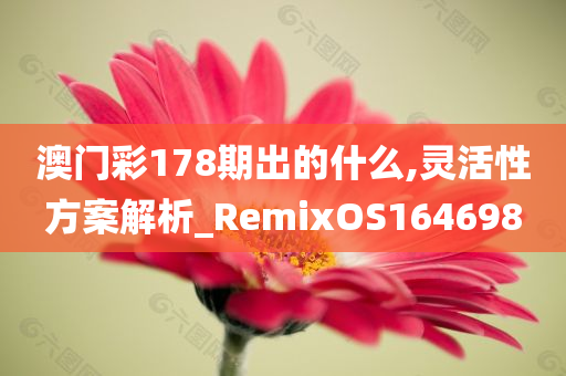 澳门彩178期出的什么,灵活性方案解析_RemixOS164698