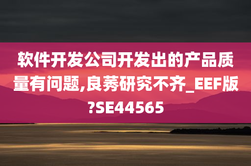 软件开发公司开发出的产品质量有问题,良莠研究不齐_EEF版?SE44565