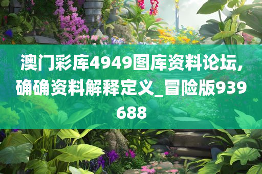 澳门彩库4949图库资料论坛,确确资料解释定义_冒险版939688