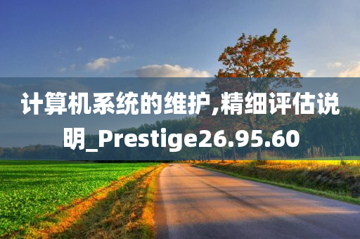 计算机系统的维护,精细评估说明_Prestige26.95.60