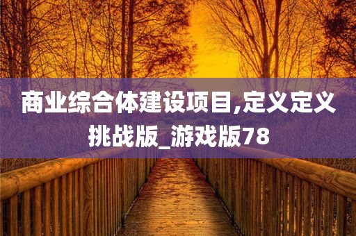 商业综合体建设项目,定义定义挑战版_游戏版78