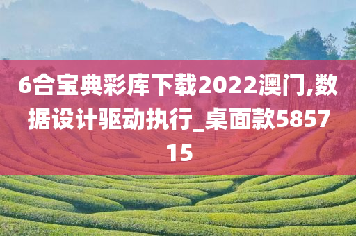 6合宝典彩库下载2022澳门,数据设计驱动执行_桌面款585715