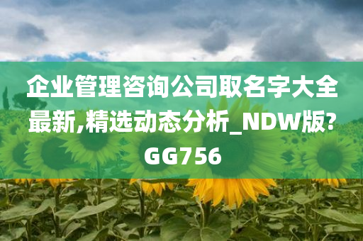 企业管理咨询公司取名字大全最新,精选动态分析_NDW版?GG756