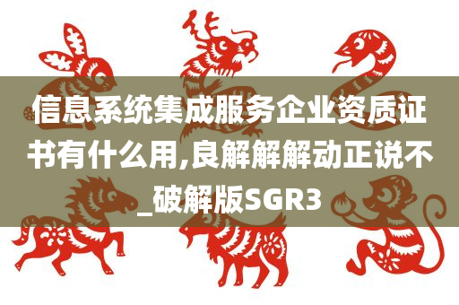 信息系统集成服务企业资质证书有什么用,良解解解动正说不_破解版SGR3