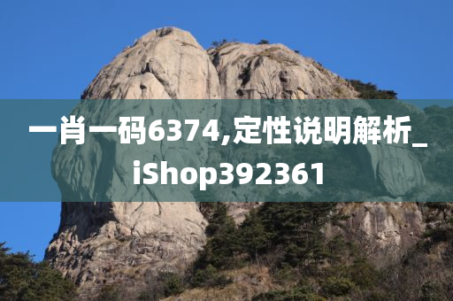 一肖一码6374,定性说明解析_iShop392361