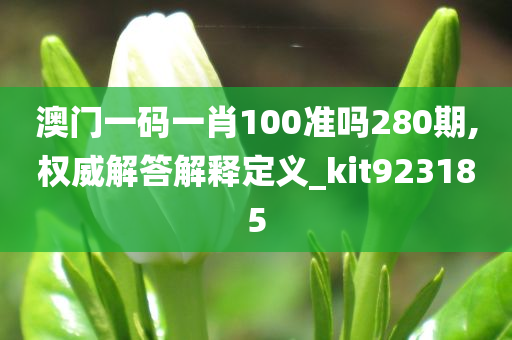 澳门一码一肖100准吗280期,权威解答解释定义_kit923185