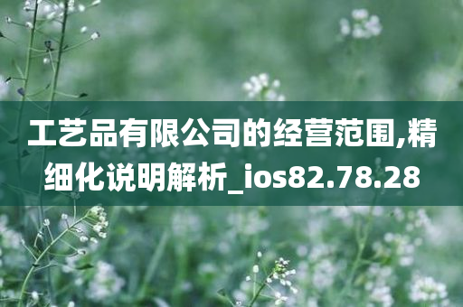 工艺品有限公司的经营范围,精细化说明解析_ios82.78.28