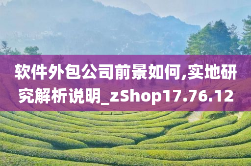 软件外包公司前景如何,实地研究解析说明_zShop17.76.12